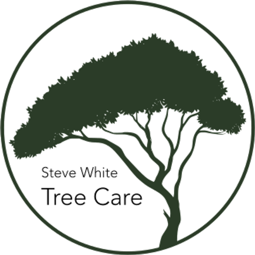 Steve White Tree Care logo